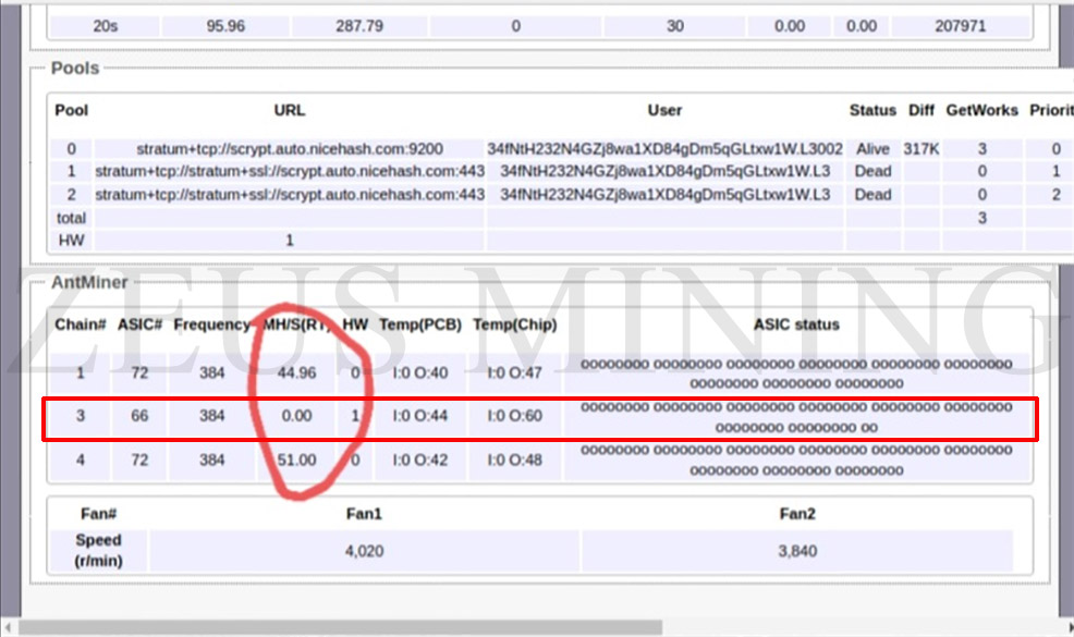 L3+ hash board less chips