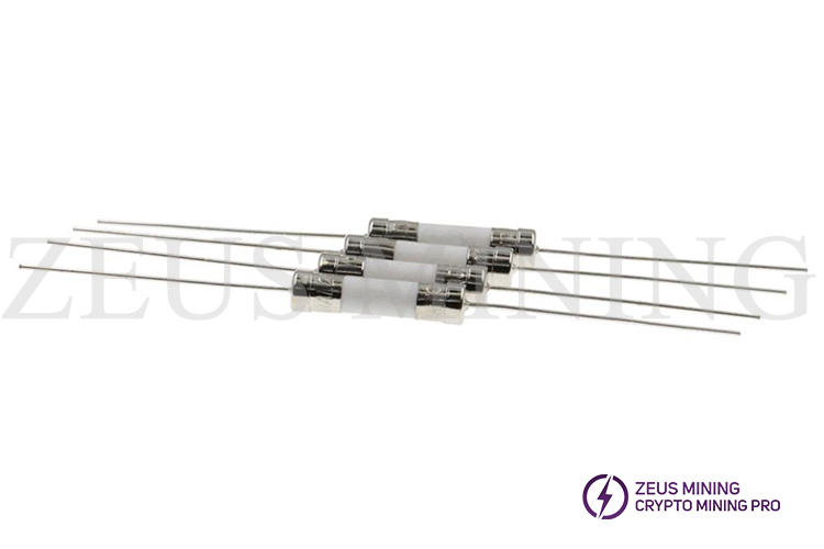 Ceramic fuse 10A Zeus Mining