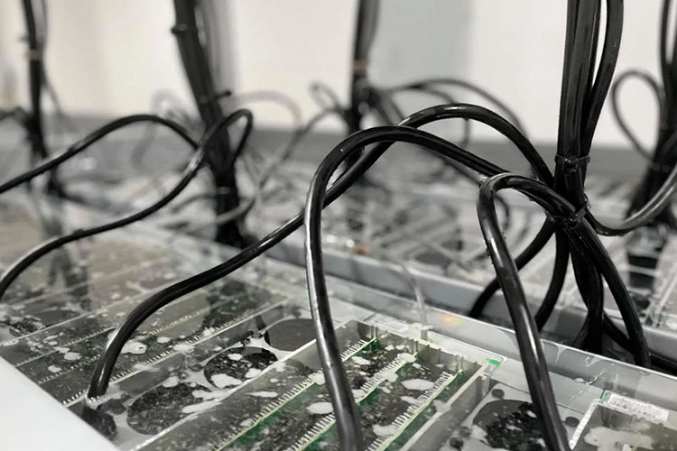 ASIC miner immersion cooling