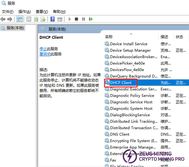 Access the DHCP server