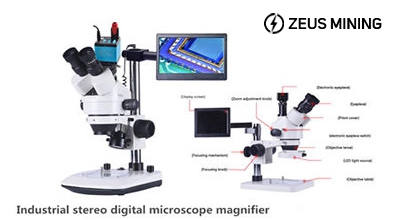 Stereo digital microscope