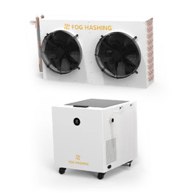 コリンシアン マイクロドーム コリンシアン マイクロドーム 貴重】マイクロドーム 11体セット